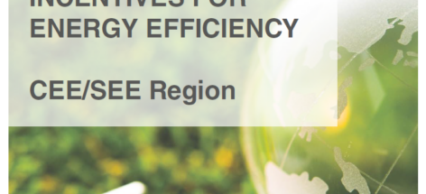 Incentives for Energy Efficiency in CEE/SEE